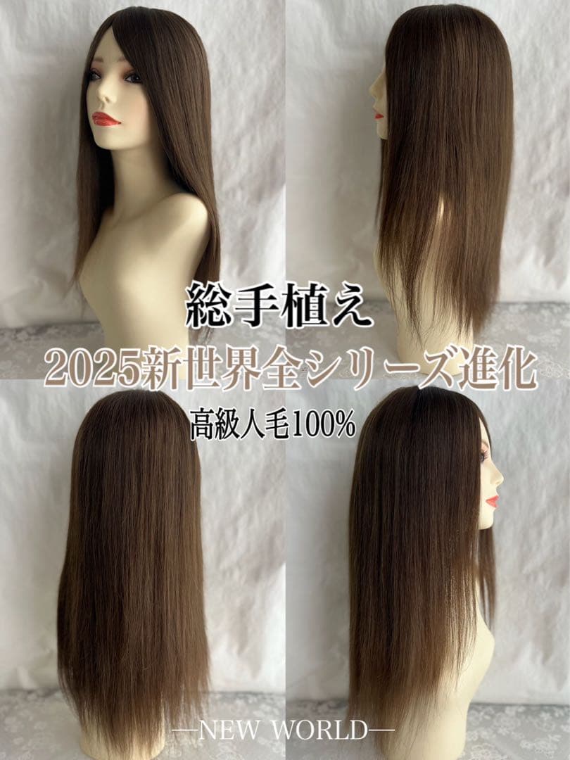 2025新世界　人毛100%　フルウィッグ　シルクスキン　医療ウィッグ
