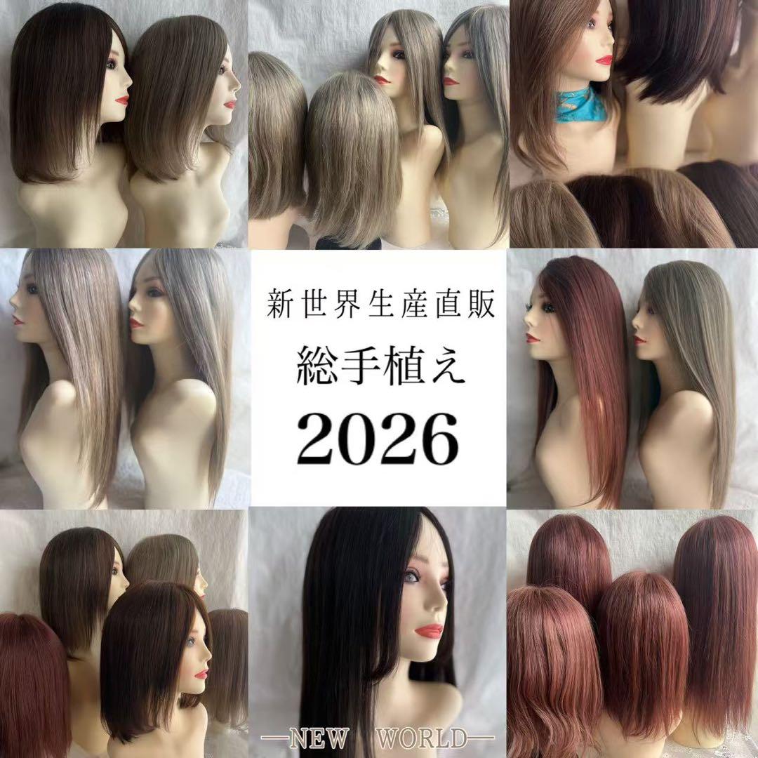 2025新世界　人毛100%　フルウィッグ　シルクスキン　医療ウィッグ