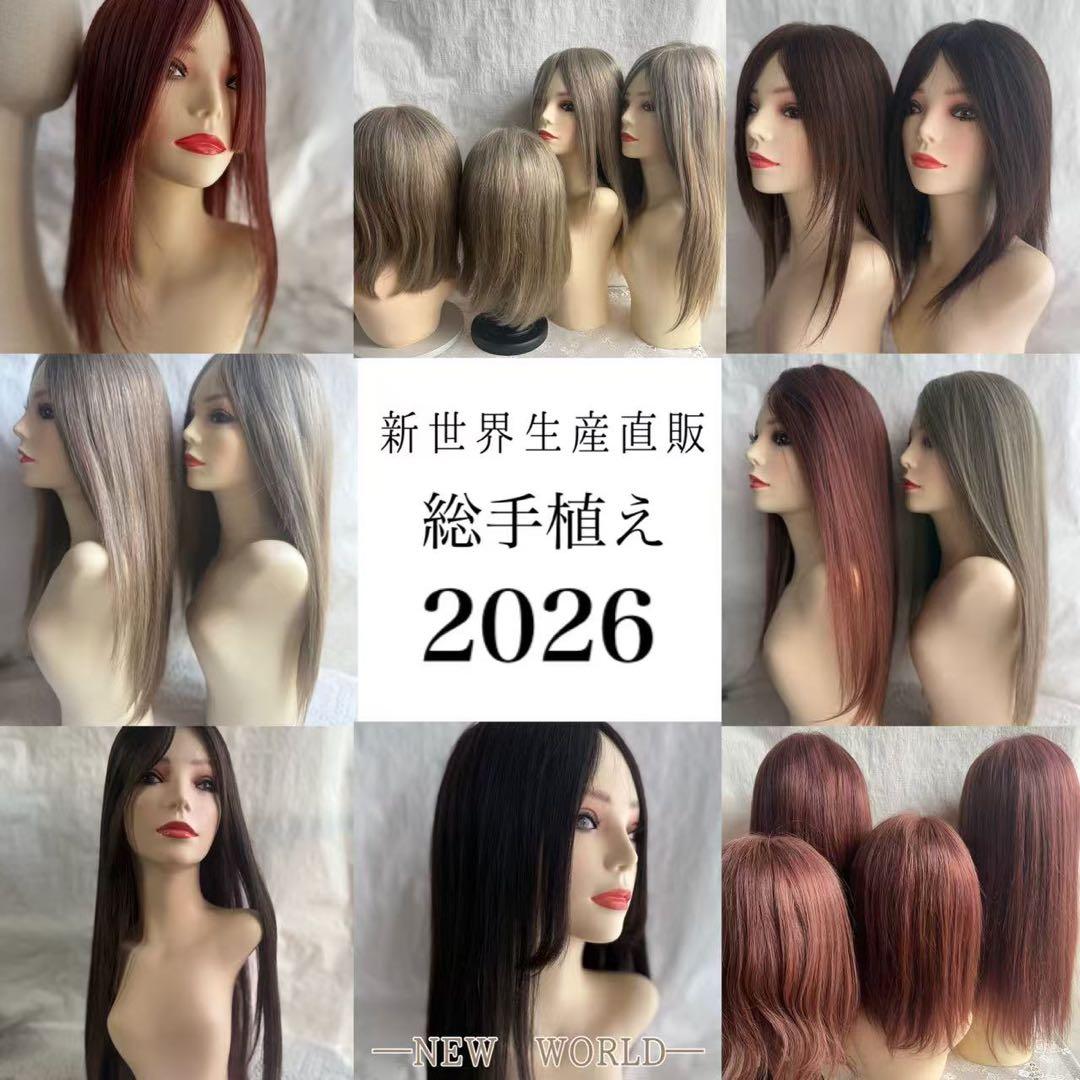2025新世界　人毛100%　フルウィッグ　シルクスキン　医療ウィッグ