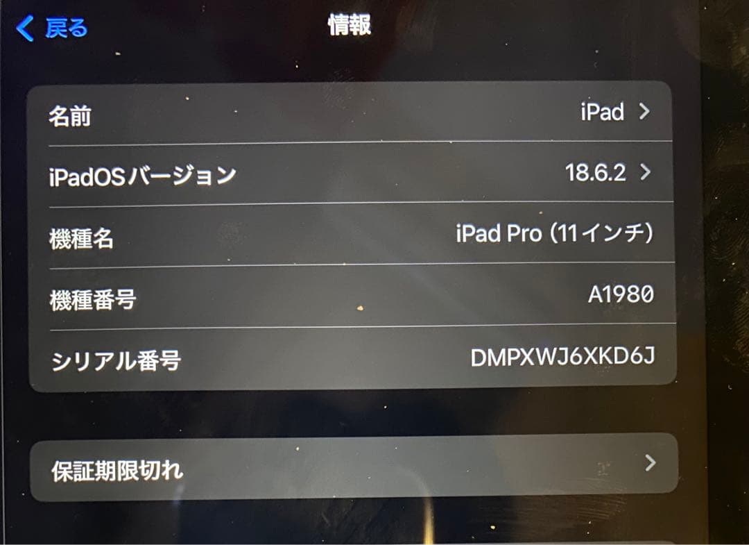 iPad Pro 第1世代 64GB Wi-Fiモデル A1980