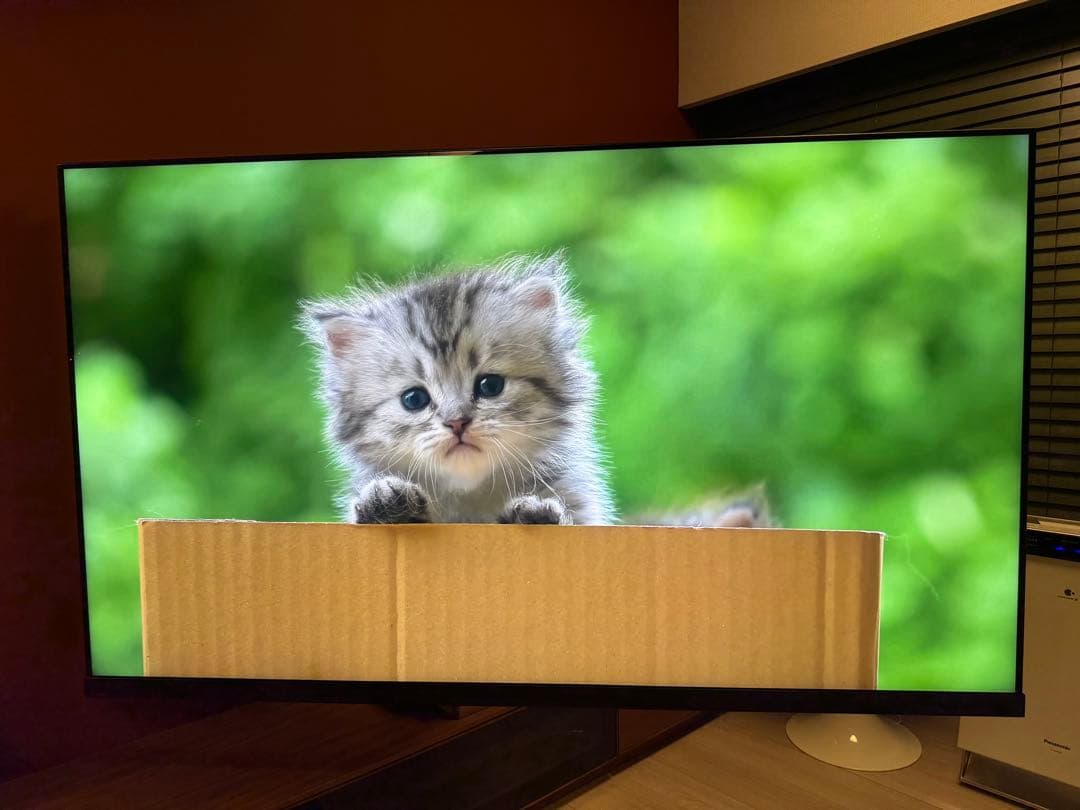 タイムシフトマシン搭載4K Mini LED液晶レグザ Z970M 75型