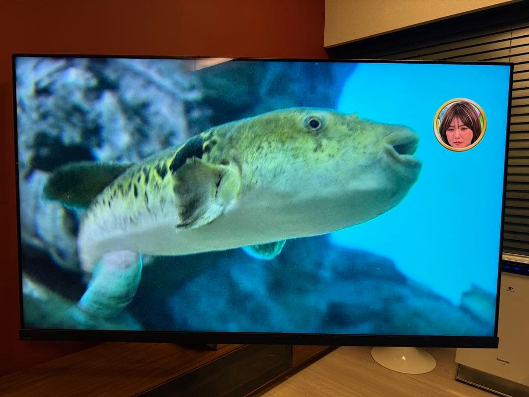 タイムシフトマシン搭載4K Mini LED液晶レグザ Z970M 75型