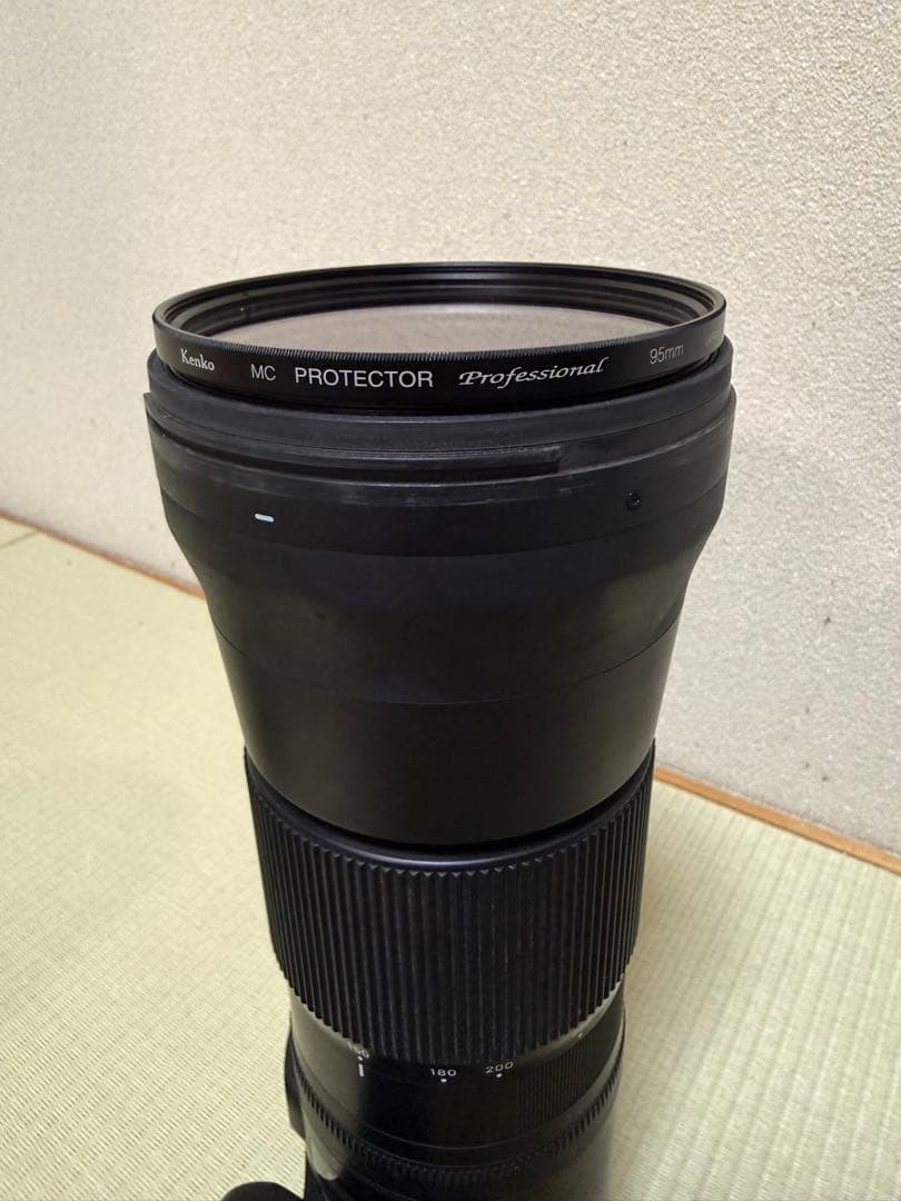 シグマ 150-600mm F5-6.3 Contemporary Canon