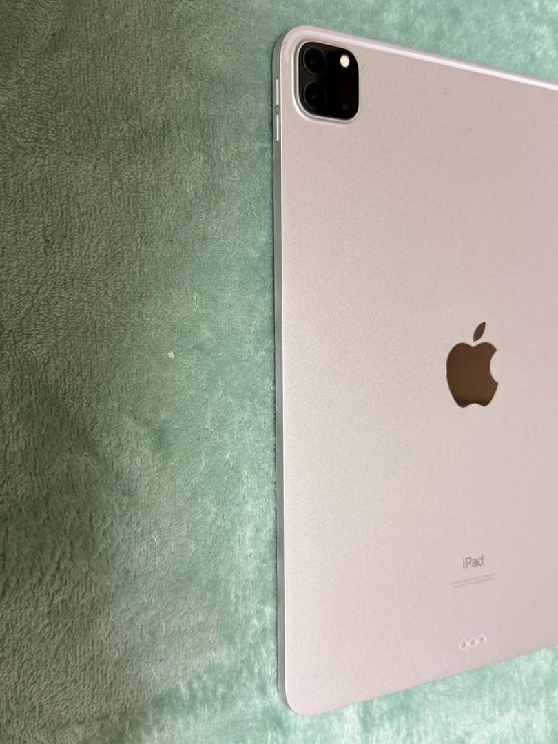 iPad Pro 11インチ 第3世代 256GB ＋Apple Pencil2