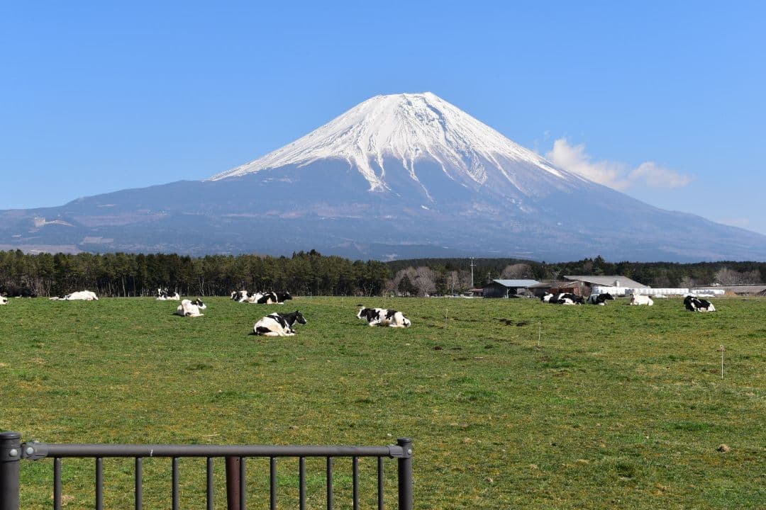 【★極美品★】Nikon D5600 デジタル一眼レフカメラセット＋おまけ