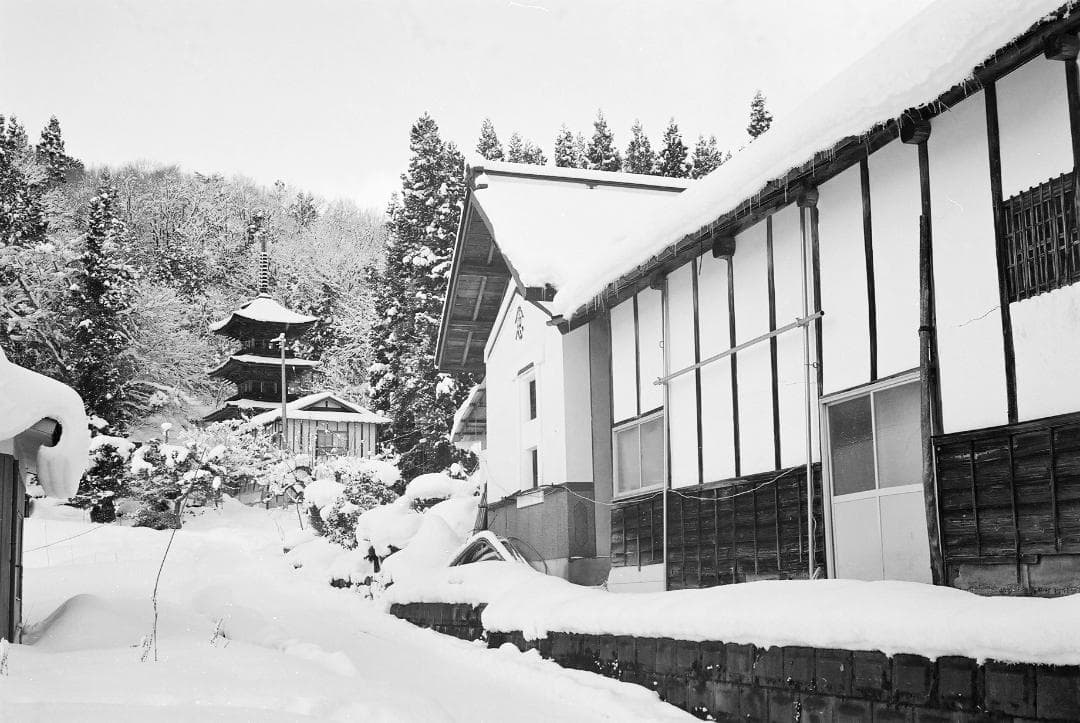 オリンパス35UC／Gズイコー42mmf1.7SL1B-F付【実写確認整備品】