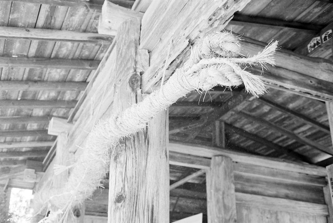 オリンパス35UC／Gズイコー42mmf1.7SL1B-F付【実写確認整備品】