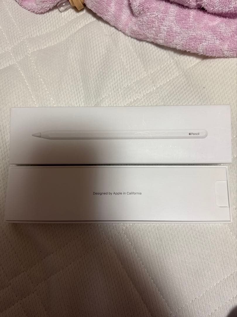 Apple Japan(同) iPadPro Apple Pencil 第2世代