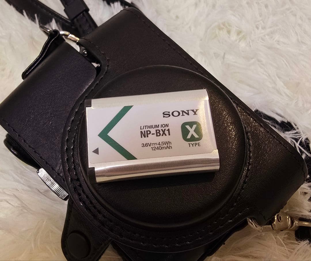 SONY ZEISSレンズ DSC-RX100M5