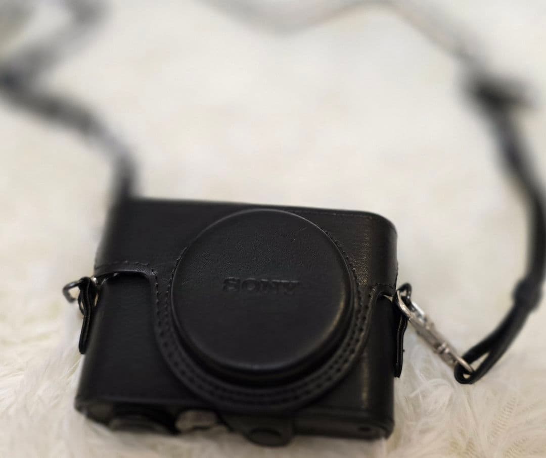 SONY ZEISSレンズ DSC-RX100M5