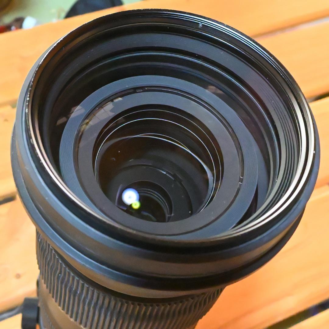 シグマSports60-600mm F4.5-6.3 DG OS HSM ニコン