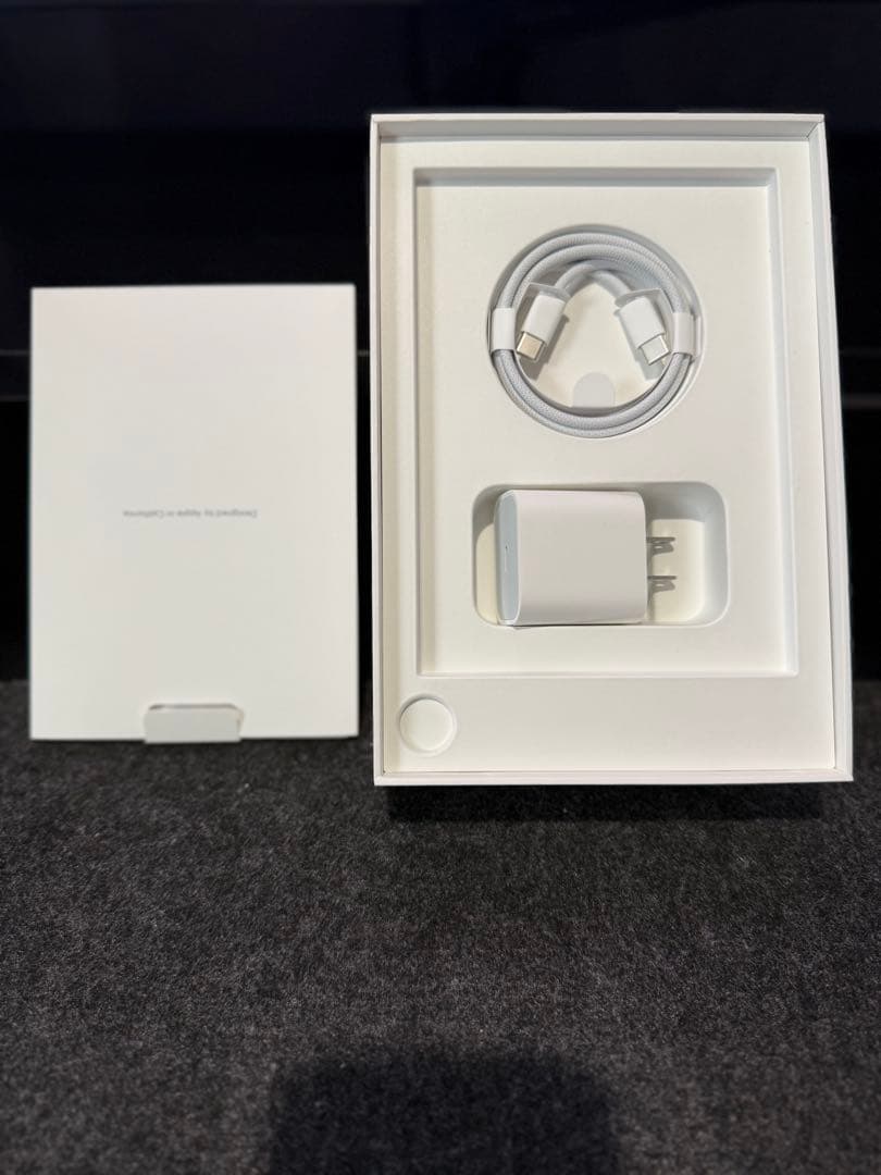 iPad mini 第7世代 Wi-Fi+Cellular 256GB