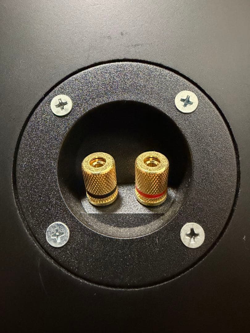 DIECOCK ブラック スピーカー ペア