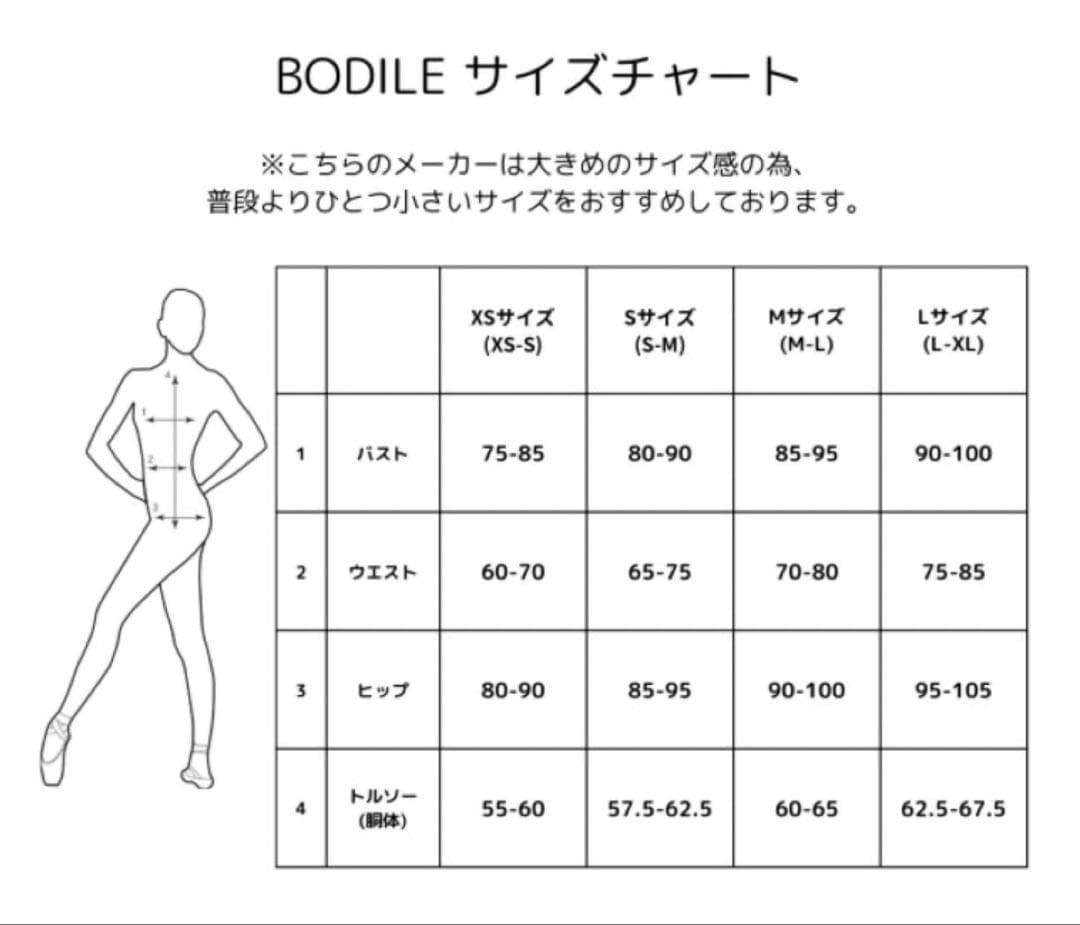 ★2/15まで特別価格★【新品】BODILE レオタード 大人バレエ　Lサイズ