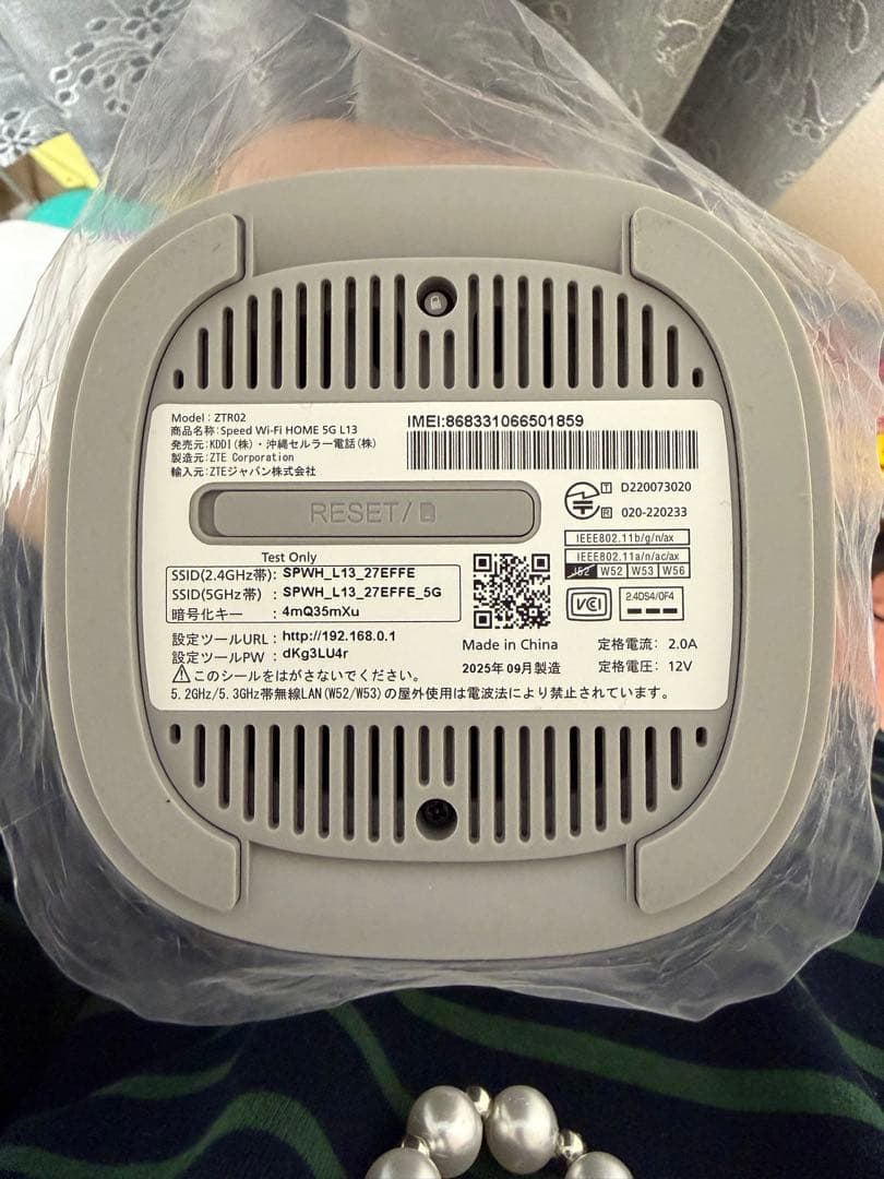 ルーター・ネットワーク機器 Speed Wi-Fi  5G L13