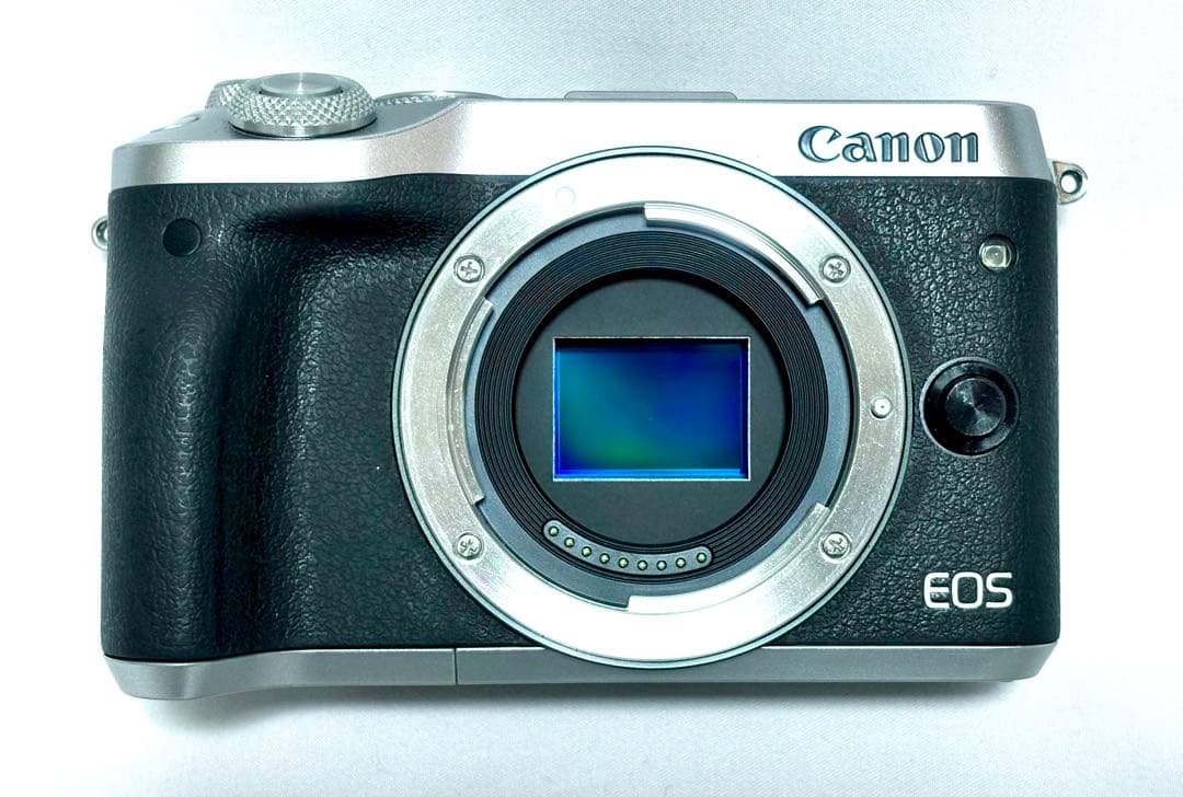 EOS M6 レンズ２本付き プロテクター、レンズフード、ケースも付属 美品