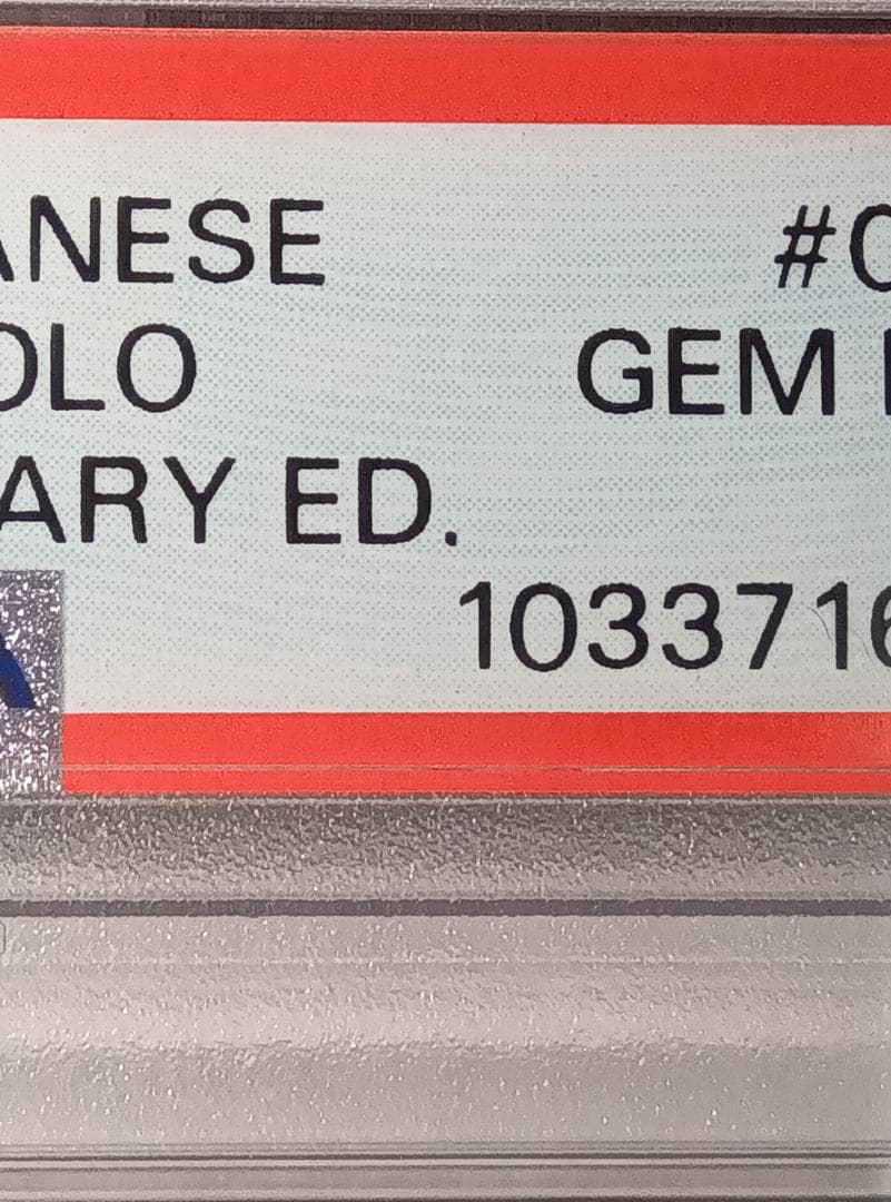 ポケモンカードゲーム わるいギャラドス 25th 005/025 PSA10