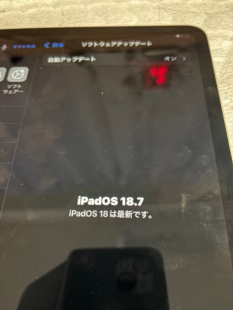 iPadPro11インチ 第2世代 ２５６ＧＢ水没ジャンク品