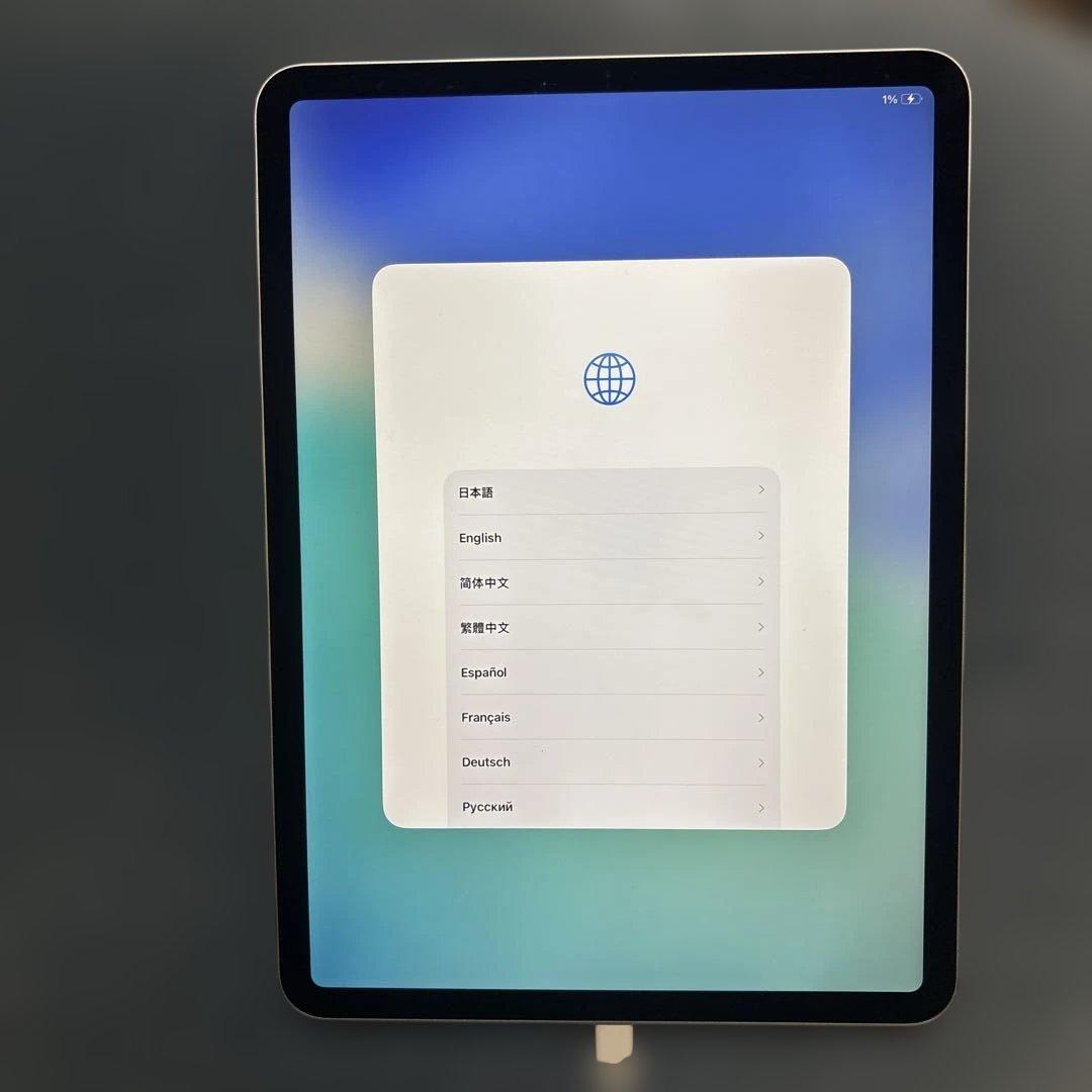 iPadPro11インチ 第2世代 ２５６ＧＢ水没ジャンク品