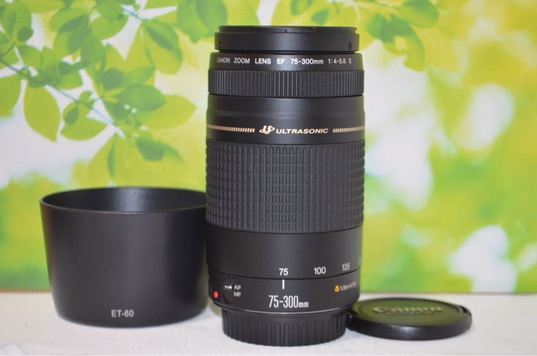 ★美品★300mm超望遠レンズ★CANON EF 75-300mm