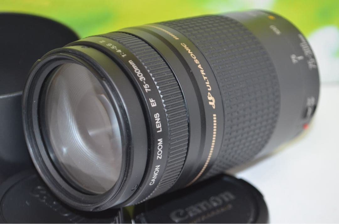 ★美品★300mm超望遠レンズ★CANON EF 75-300mm
