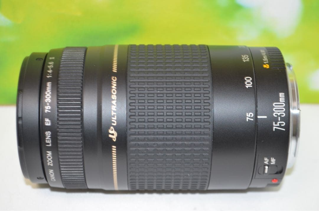 ★美品★300mm超望遠レンズ★CANON EF 75-300mm
