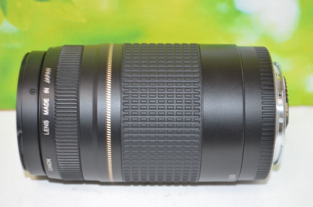 ★美品★300mm超望遠レンズ★CANON EF 75-300mm