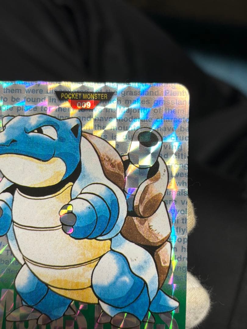 ポケモンカード カードダス カメックス バンダイ 緑