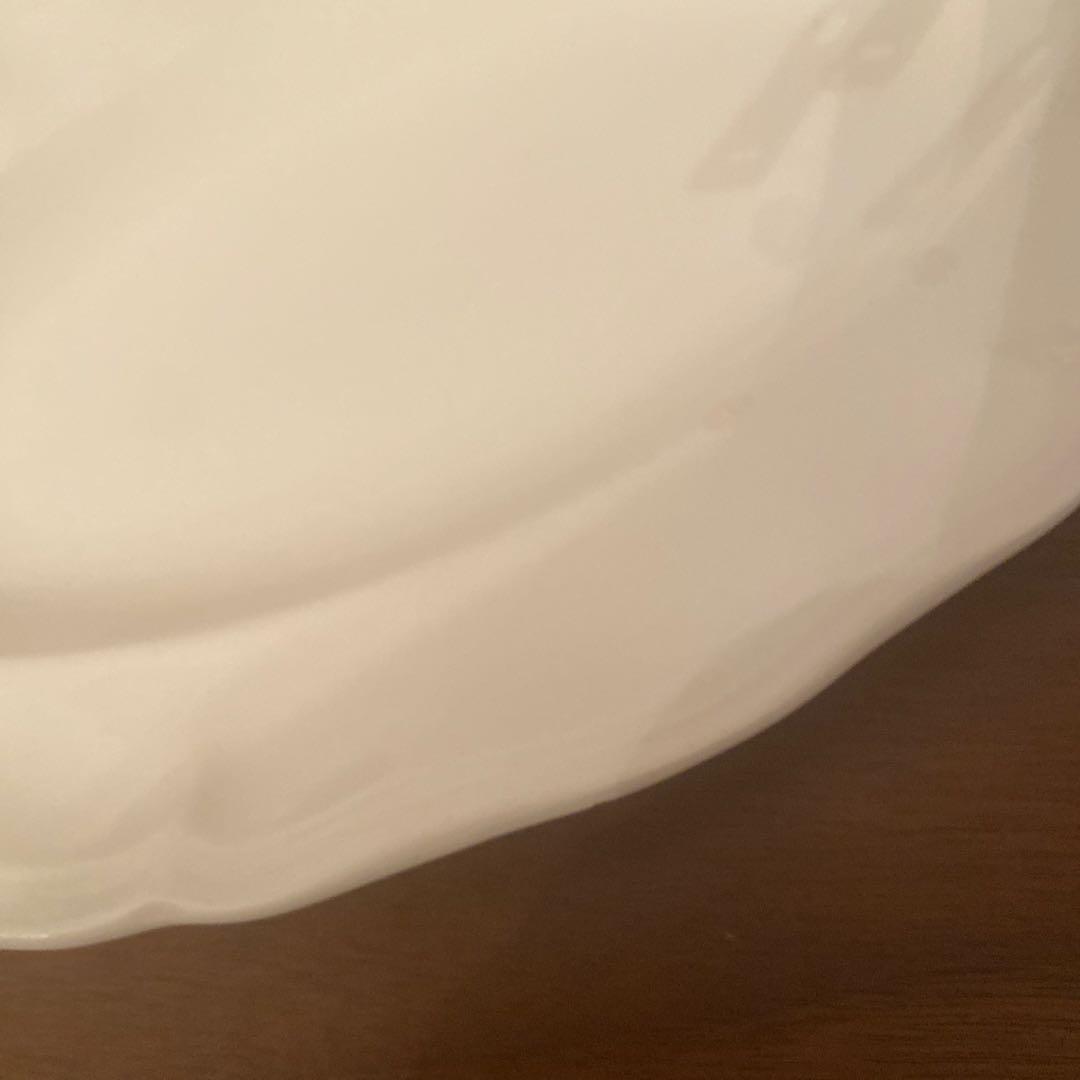 サルグミンヌ　ラヴィエ　フランス　アンティーク　花リム　蚤の市