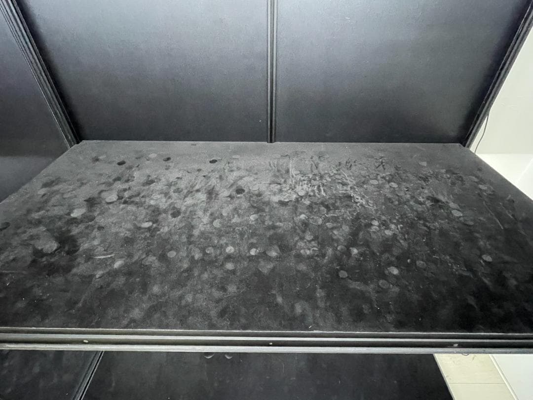 moducase DF120 1台 ライザー ＆ フィギュア スタンド付き