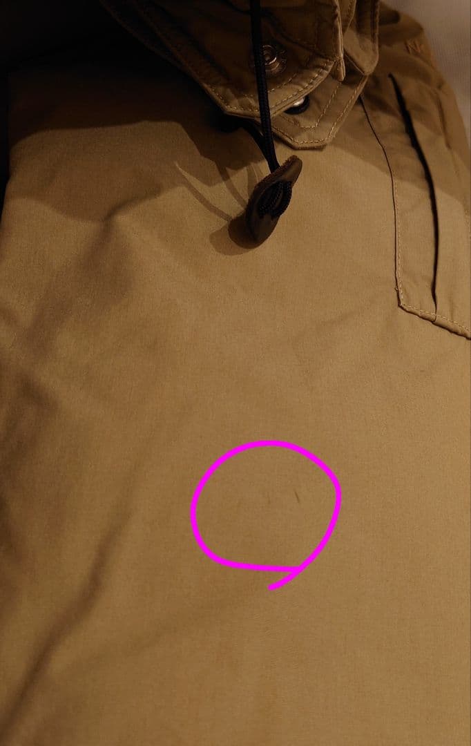 THE NORTH FACE PURPLE LABEL ショートダウン