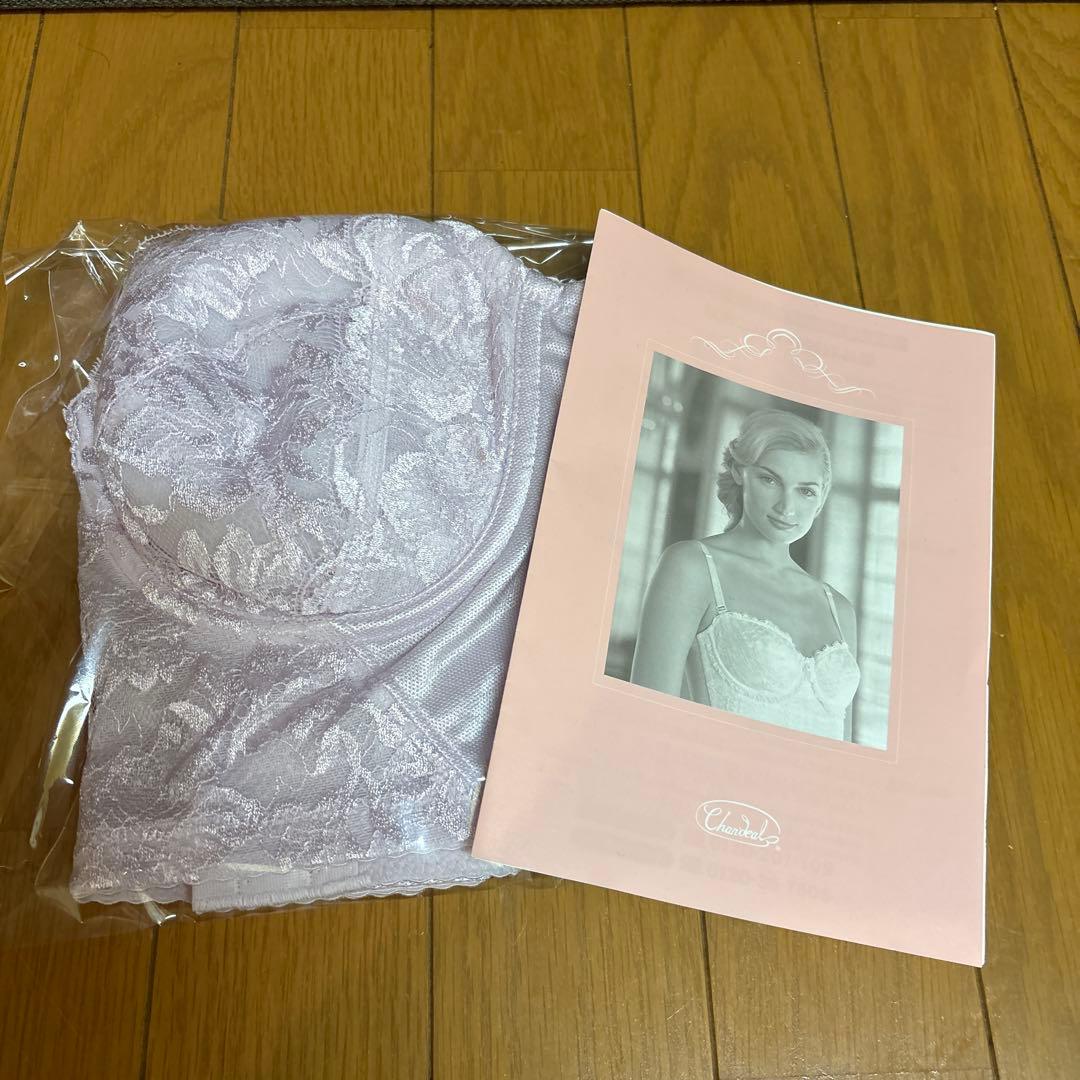 シャンデール ロングブラジャー ピンク D80