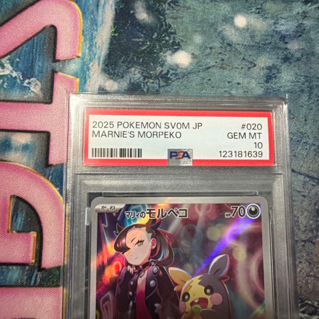 マリィのモルペコ　ar psa10