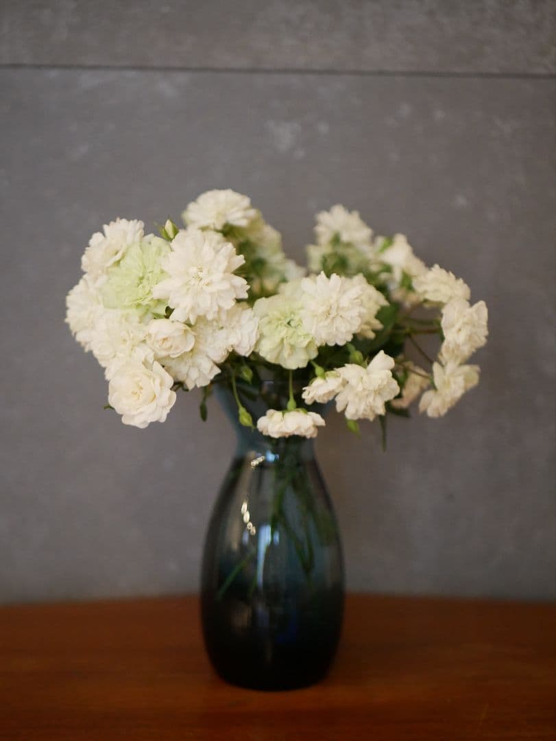 LUMIX G ミラーレス一眼カメラ レンズ2本付き　DC-GF9W