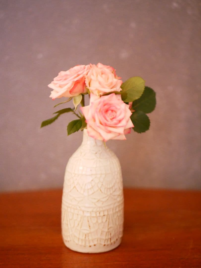 LUMIX G ミラーレス一眼カメラ レンズ2本付き　DC-GF9W