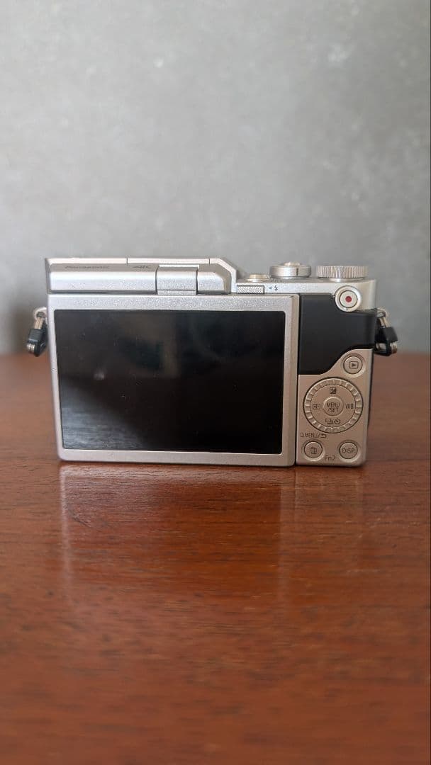 LUMIX G ミラーレス一眼カメラ レンズ2本付き　DC-GF9W