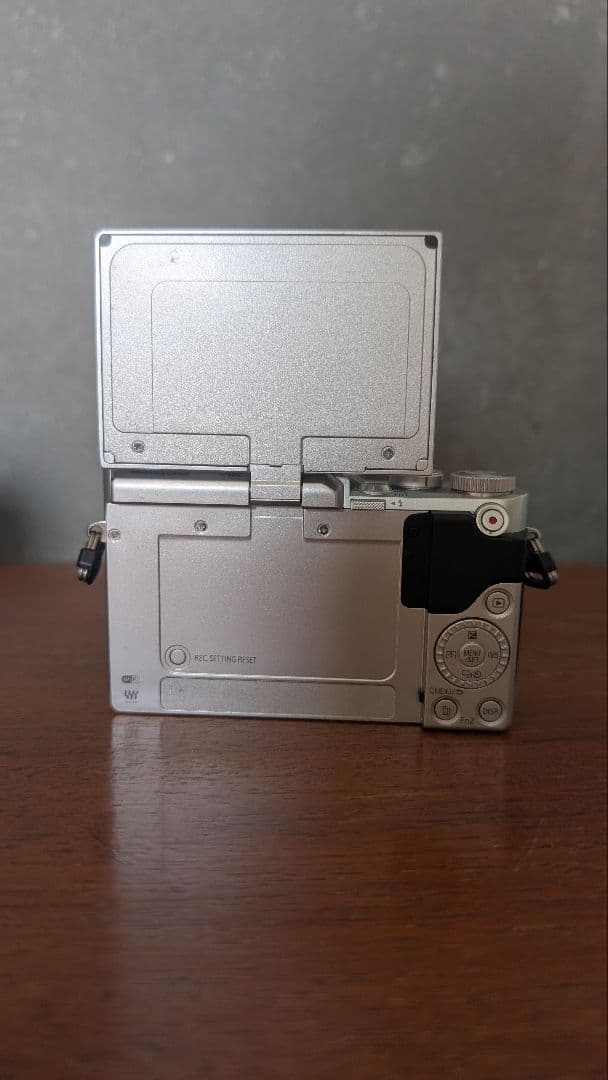 LUMIX G ミラーレス一眼カメラ レンズ2本付き　DC-GF9W