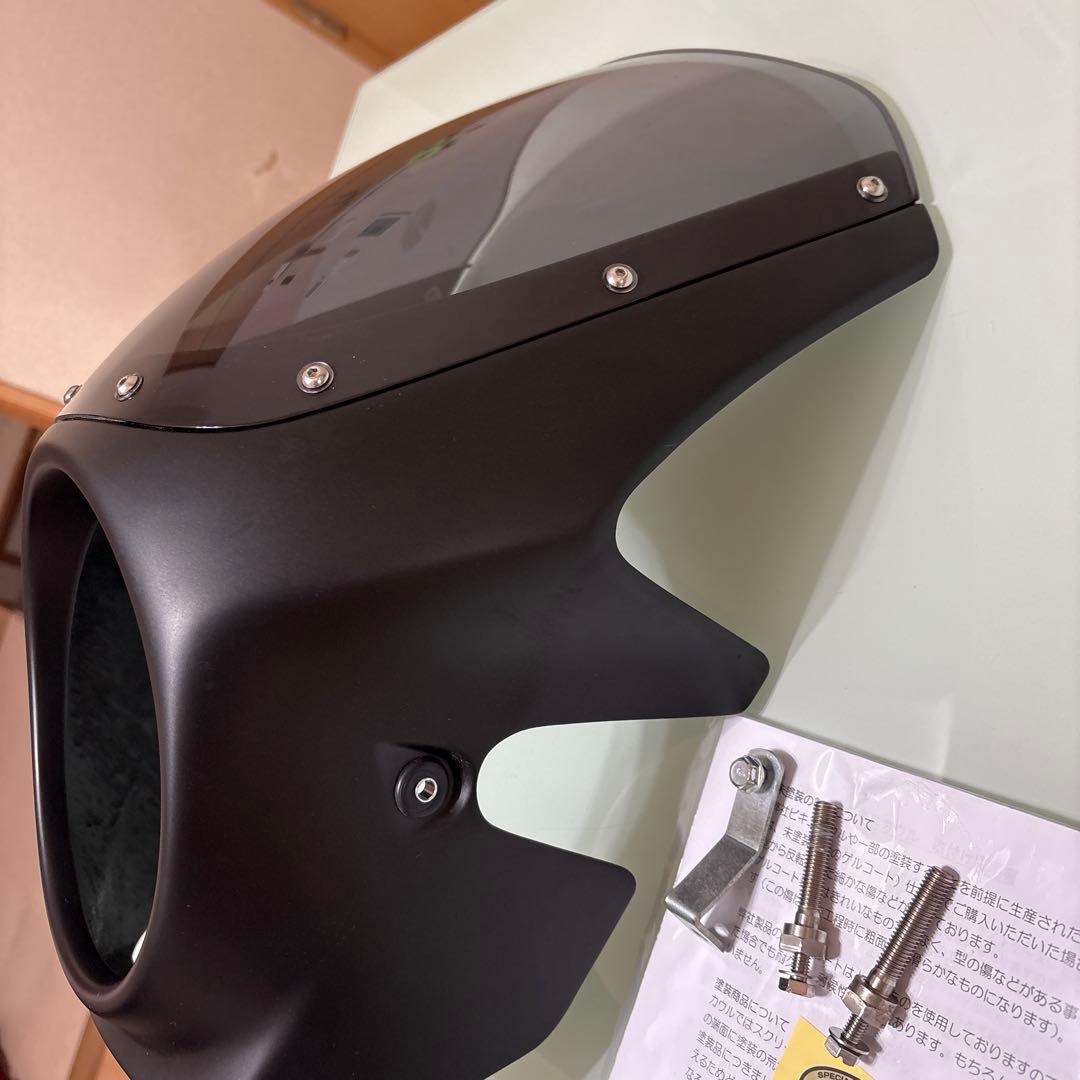 z900rsSE２５カラー