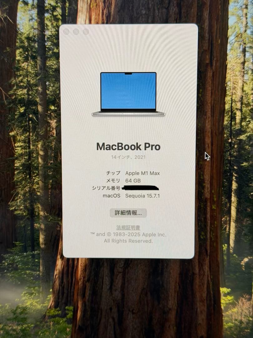 ちゃもろMacBook Pro 14“ M1 Max 64GB US