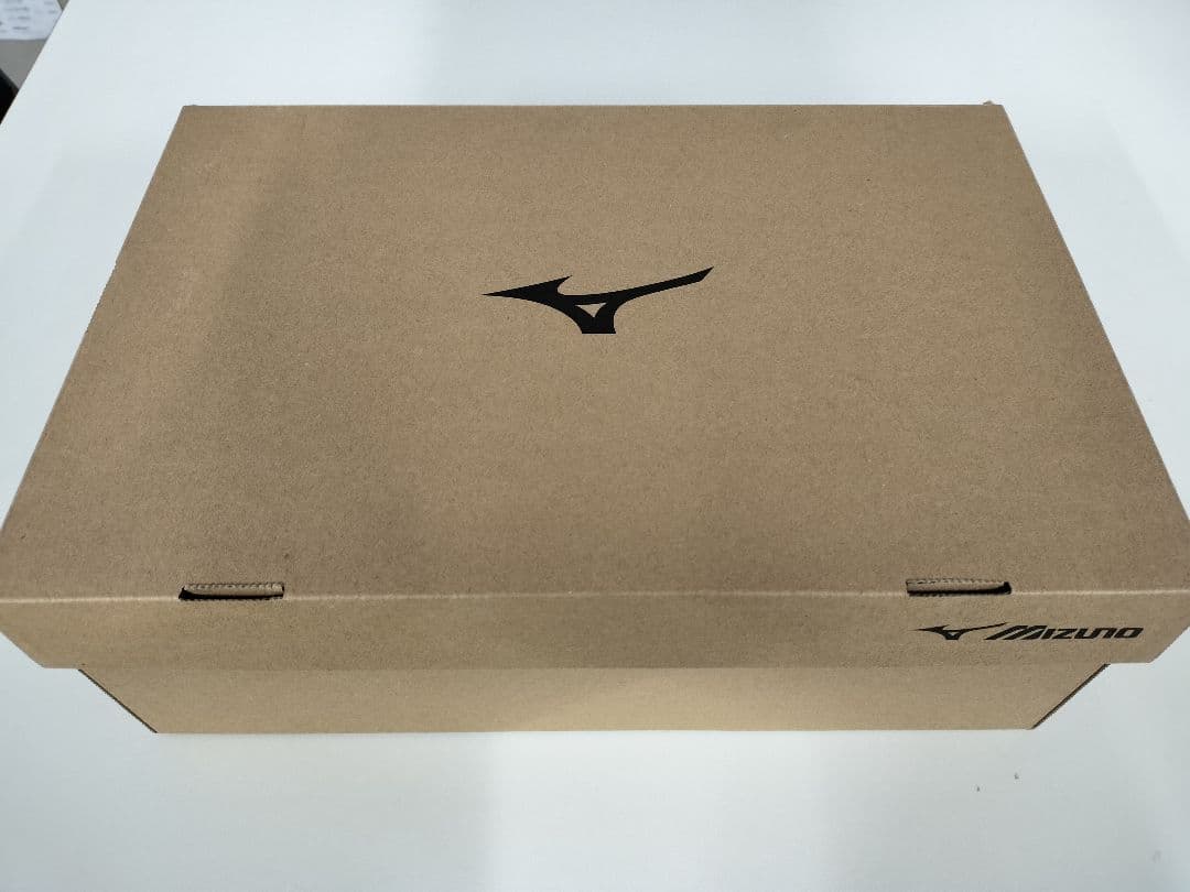 安全靴 Mizuno Almighty TD191H BOA 27.0cm