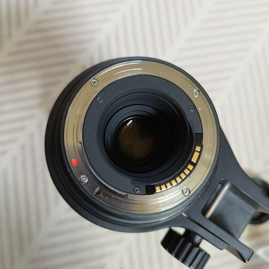 SIGMA DG 150-500mm 1.5-6.3 APO HSM レンズ