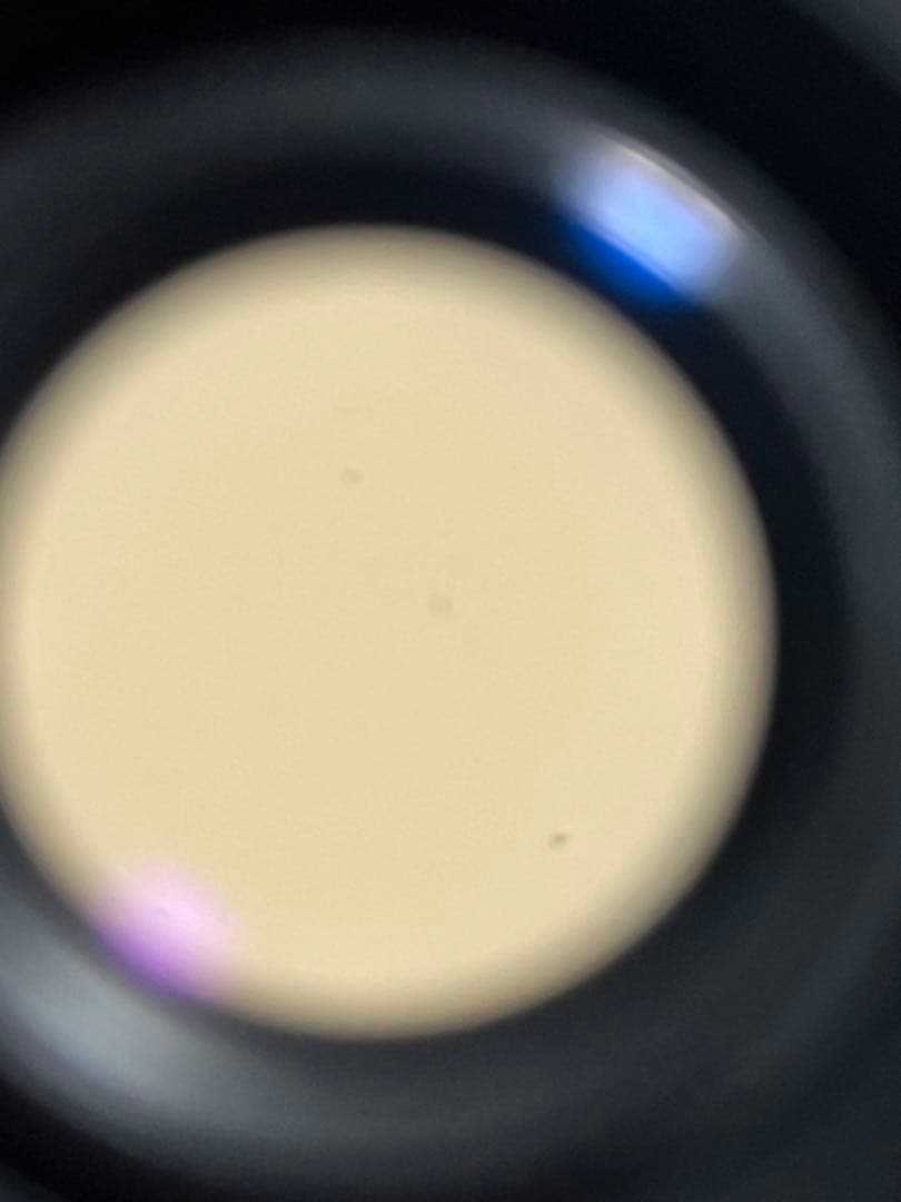 Canon EOS-1 EF 24mm F2.8レンズ付き！