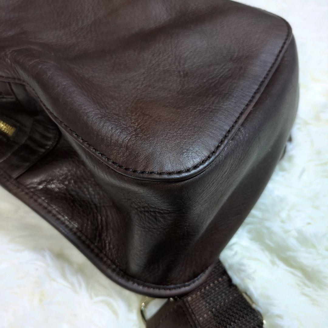 アニアリ　ボディバッグ　ショルダー　レザー　革　　ブラウン　ゴールド　カモフラ