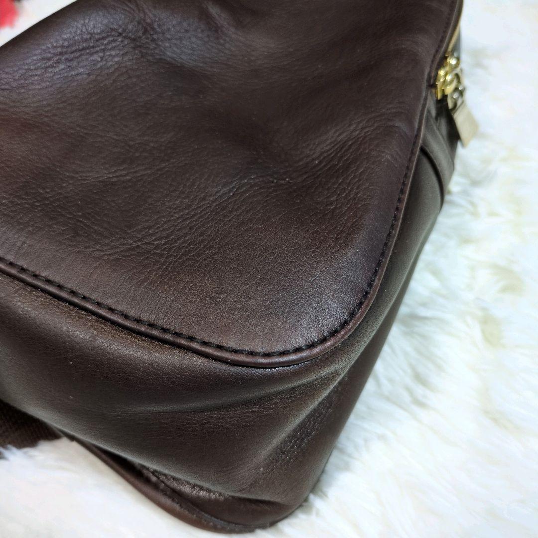 アニアリ　ボディバッグ　ショルダー　レザー　革　　ブラウン　ゴールド　カモフラ