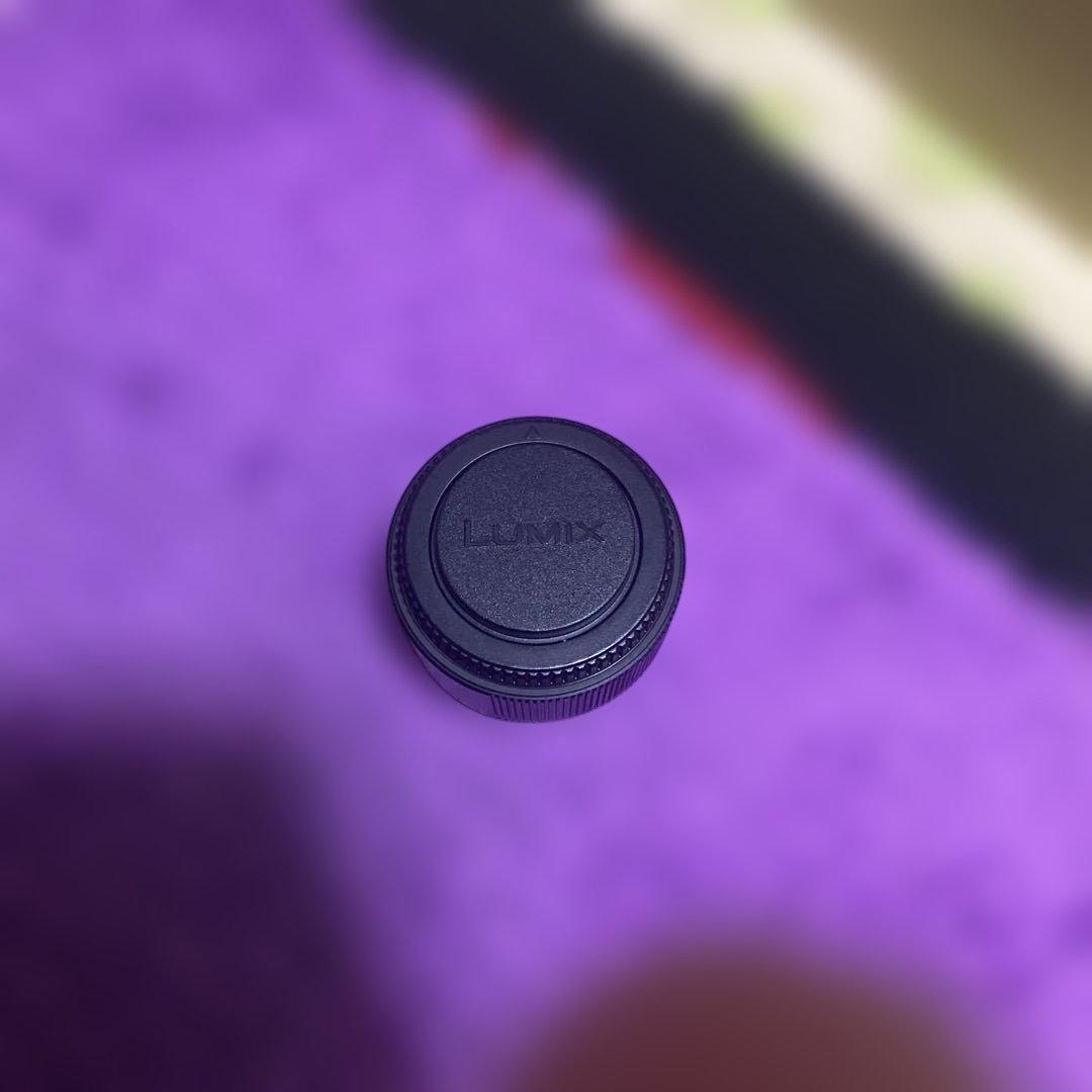 パナソニック DMW-TC20A テレコンバーター　中古