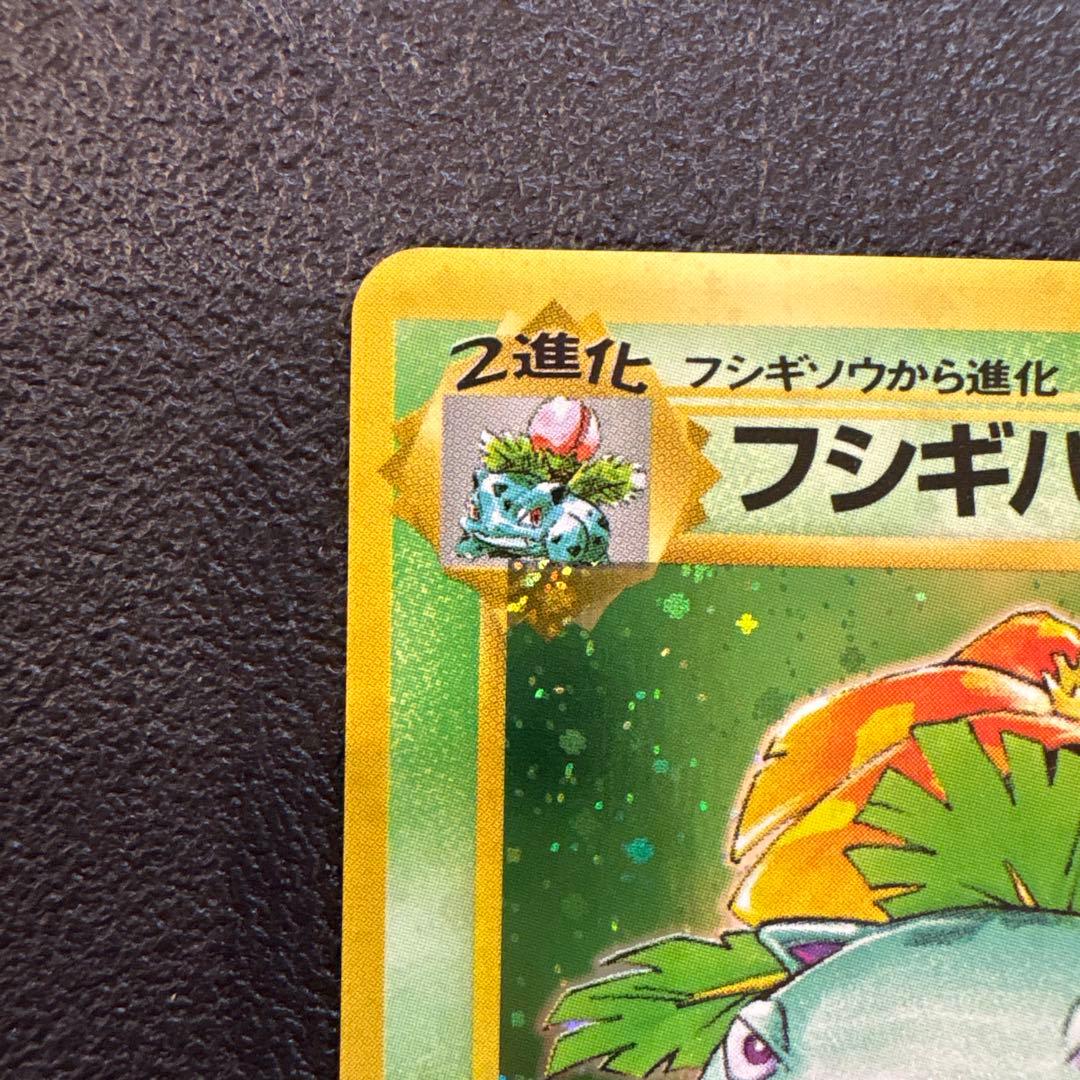 フシギバナ ★ 第1弾拡張パック　旧裏