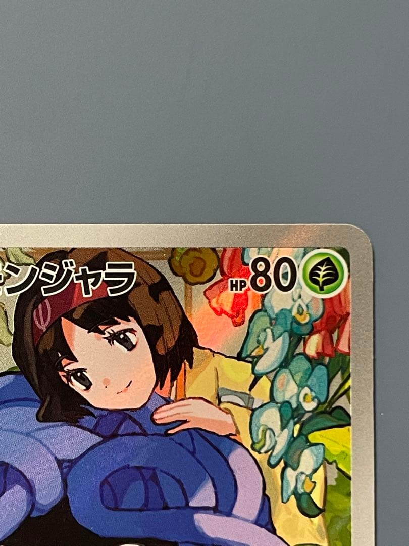 エリカのモンジャラAR