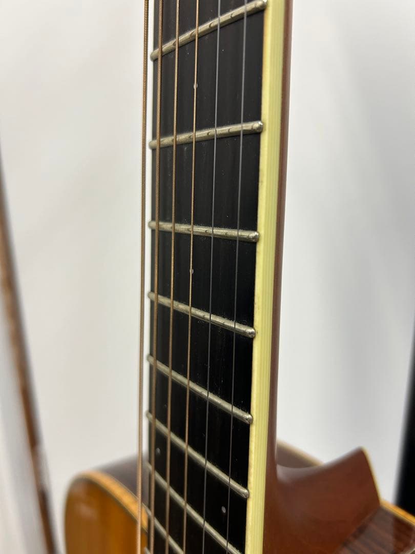 Larrivee OMV-09 美品 ラリビー製　Hケース付