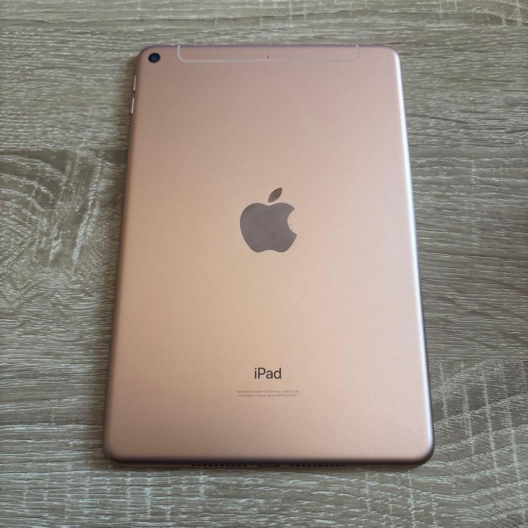 Apple iPad mini 5 256GB docomo 判定○ 100%