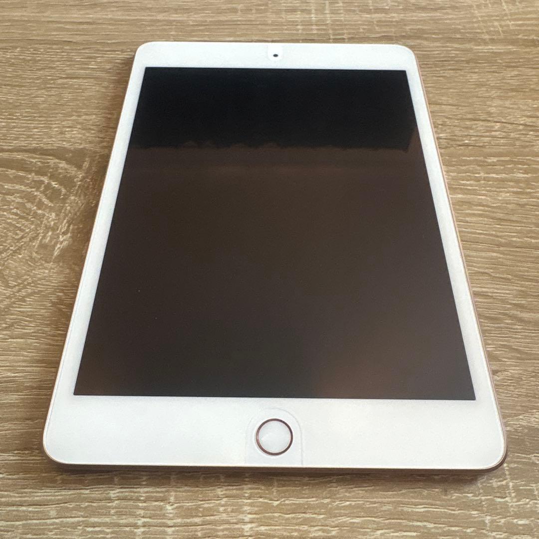 Apple iPad mini 5 256GB docomo 判定○ 100%